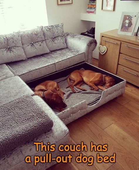 Corner Dog Bed, Beds Ideas, Dog Rooms, Dog Beds, Dog Houses, Diy Dog Stuff, Dog House, Design Case, 인테리어 디자인