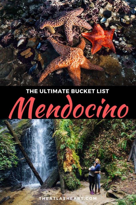 The ultimate travel bucket list for the best things to do in Mendocino, CA. From the best Mendocino restaurants, to what to see in downtown Mendocino and even a guide to hiking in Mendocino, find out why Mendocino is such an ideal Northern California getaway from San Francisco. #mendocino #californiacoast #californiatravel #californiaroadtrip #northerncalifornia California Places To Visit, Northern California Travel, Pacific Coast Road Trip, California Getaways, Mendocino California, California Bucket List, Mendocino Coast, West Coast Road Trip, California Vacation