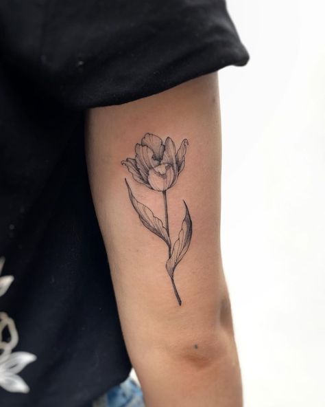 Tulips Fine Line Tattoo, Tulip Hand Tattoo, Parrot Tulip Tattoo, Three Tulip Tattoo, Fine Line Tulip Tattoo Design, Tulip Tattoo Sleeve, Double Tulip Tattoo, Vintage Tulip Tattoo, Open Tulip Tattoo