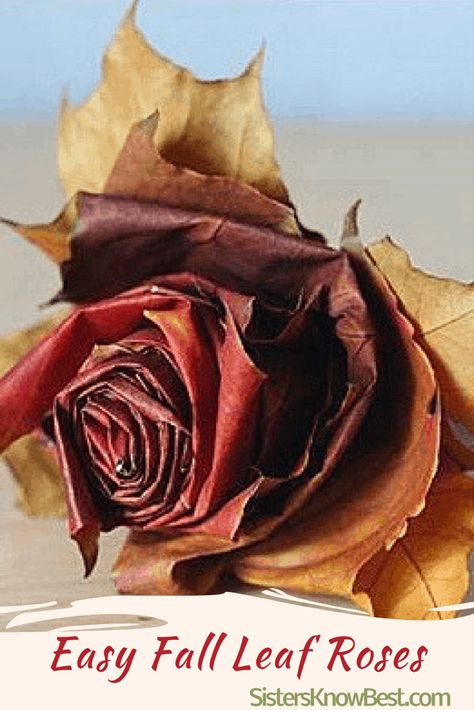 Leaf Roses, Tissue Paper Flowers Diy, How To Make Rose, Paper Flower Decor, Fall Wedding Centerpieces, Leaf Crafts, Tissue Paper Flowers, Fall Crafts Diy, Home Inspo