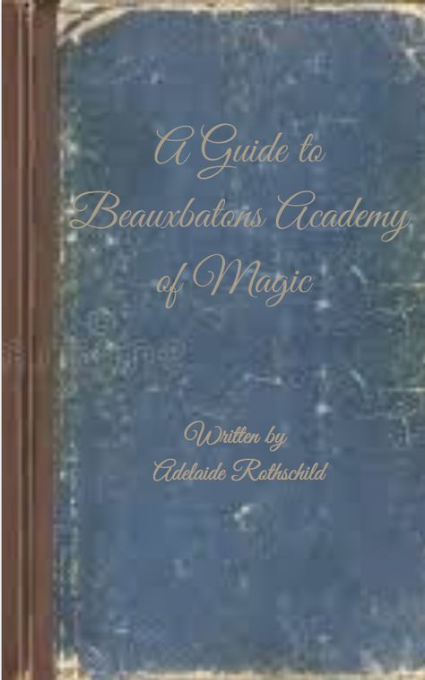 Online Hogwarts, Hogwarts Is Here, Beauxbatons Academy Of Magic, Hogwarts Classes, English Student, Nicolas Flamel, Hogwarts Library, French Heritage, Potter Fanart