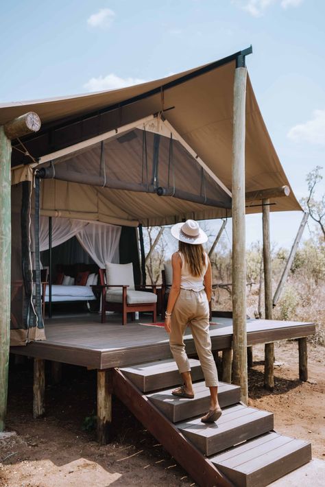 5 reasons why you will love going on Safari with Honeyguide in South Africa - Sun Chasing Travelers Botswana Safari, South Africa Safari, Visit South Africa, Tent Living, Wildlife Reserve, On Safari, Luxury Tents, South Africa Travel, Safari Lodge