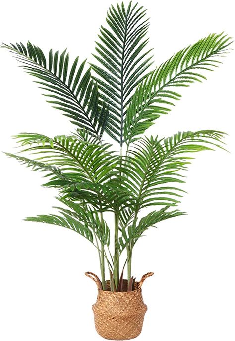 Dypsis Lutescens, Areca Palm Plant, Palm Plants, Bird Of Paradise Plant, Paradise Plant, Artificial Birds, Belly Basket, Fake Plants Decor, Boho Outdoor