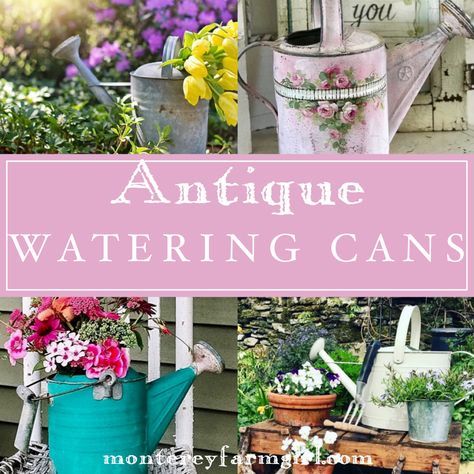 Learn more about antique watering cans and explore a variety of inspiring photos and watering can decor. Decorating With Watering Cans, Tin Watering Can Decor, Watering Cans With Flowers, Flower Arrangements In Watering Can, Old Watering Can Ideas, Watering Can Decor Ideas, Painted Watering Cans, Watering Can Ideas, Water Can Decor