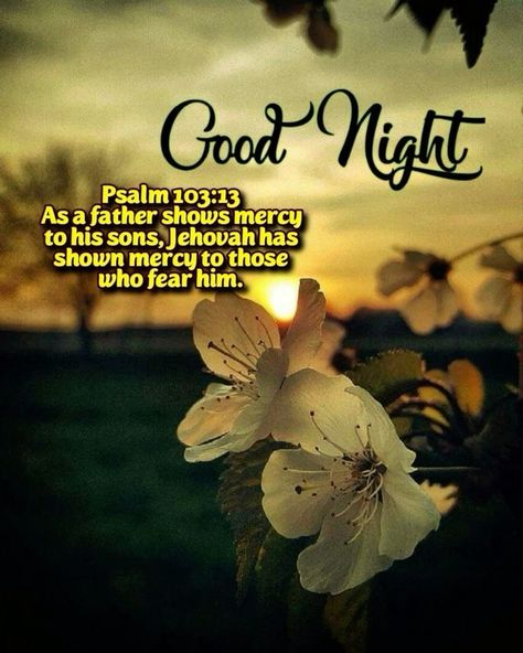 Jw Good Night Quotes, Good Night Bible Verse, Beautiful Good Night Messages, Life In Paradise, Good Night Dear, Night Love Quotes, Good Night Love Quotes, Prays The Lord, Jehovah Witness