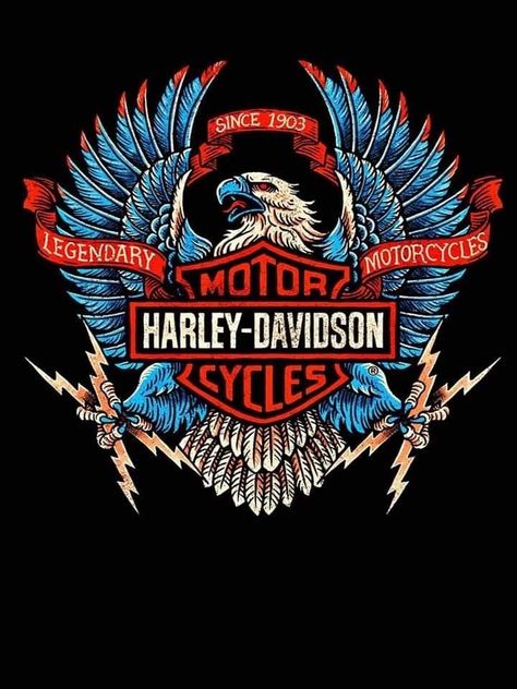 Logo Moto, Harley Davidson Posters, Мотоциклы Harley Davidson, Harley Davidson Tattoos, Harley Davidson Artwork, Motos Harley, Harley Davidson Wallpaper, Harley Davidson Art, Motorcycle Wallpaper