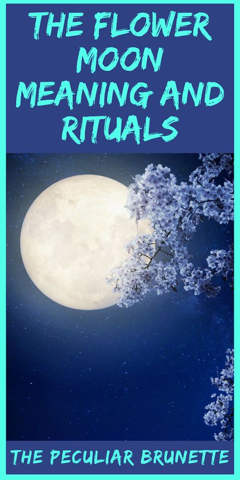 Flower Moon Meaning, Full Flower Moon, Moon Spiritual, Full Moon Spells, May Full Moon, Moon Chart, Moon Activities, Moon Meaning, Moon Spells