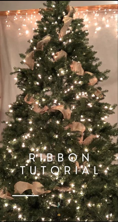 Christmas tree with white lights and beautiful ribbon Burlap And Red Ribbon Christmas Tree, Burlap Ribbon Christmas Tree Easy Diy, How To Fold Ribbon For Christmas Tree, Christmas Tree Burlap Ribbon, How To Put Burlap On Christmas Tree, Burlap Garland Christmas Tree, Wrapping Ribbon On Christmas Tree, How To Make Ribbon Bows Christmas Tree, Adding Ribbon To Christmas Tree Tutorial