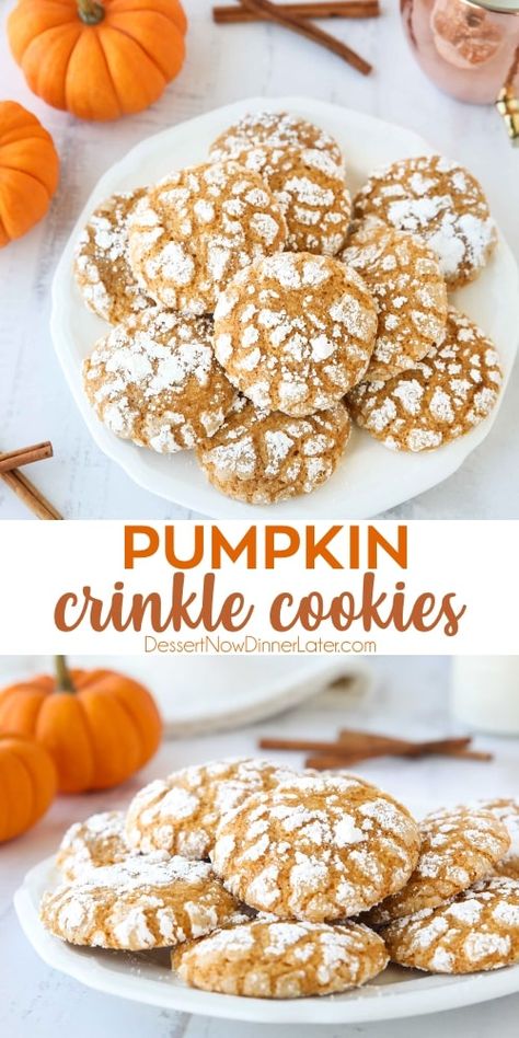 Pumpkin Crinkle Cookies, Pumpkin Spices, Fall Deserts, Seasonal Baking, Pumpkin Treat, Pumpkin Recipes Dessert, Crisp Autumn, Crinkle Cookies, Perfect Cookie