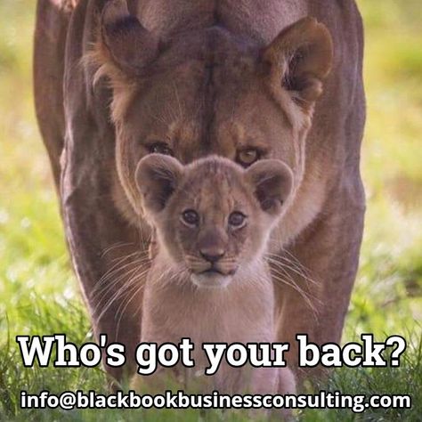 If you are a small business with BIG ambitions please book a FREE review and appointment to discuss how we can improve engagement, bookings or sales. We tailor our plans around your needs and budget. We have your back! Book here: https://fb.com/book/BlackBookBusinessMarketing/ We look forward to hearing from you! #blackbookbusinessmarketing #SME #entrepreneur #marketing #leighonsea #southend #shoplocal #essexmums #business #liveleighloveleigh #essexbusiness #essex #essexlife #smallbusiness Best Tupac Quotes, Narnia Lion, Lioness Quotes, American Words, Beatles Cartoon, Tupac Quotes, Appreciate Life Quotes, Leigh On Sea, Lion Love