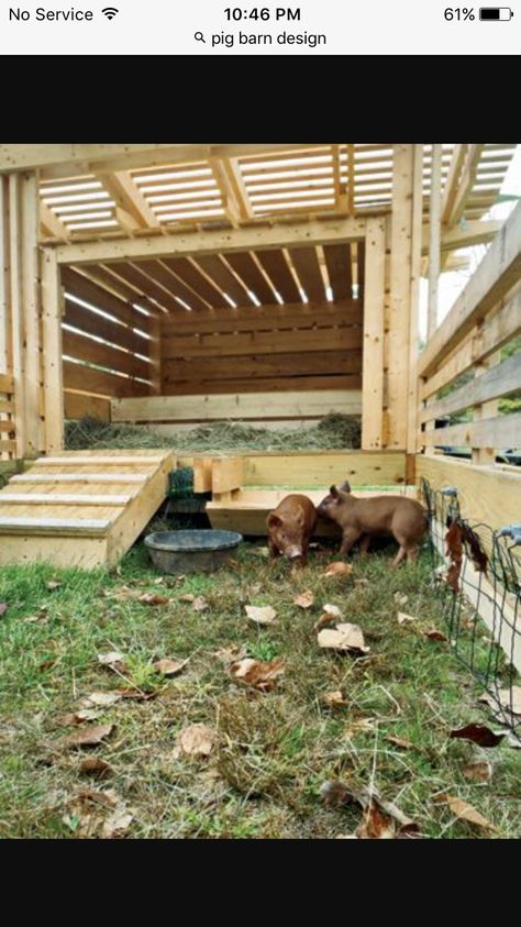 Pig Shelter, Pastured Pigs, Livestock Shelter, Raising Pigs, Pig Pen, Pot Belly Pigs, Pig House, Farm Plans, Animal Pen