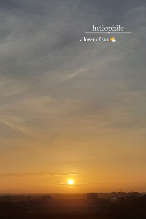 Heliophile Quotes, Sun Photo Caption, Morning Sun Quotes, Evening Quotes Relaxing, Morning Sunrise Aesthetic Quotes, Sunrise Quotes Morning Beautiful, Sun Rise Quotes Mornings, Sun Aesthetic Quotes, Heliophile Aesthetic