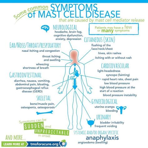 Jameela Jamil, Mast Cell Activation Syndrome, Mast Cell, Endocannabinoid System, Reflux Disease, Disease Symptoms, Migraine Relief, Ehlers Danlos Syndrome, Tension Headache