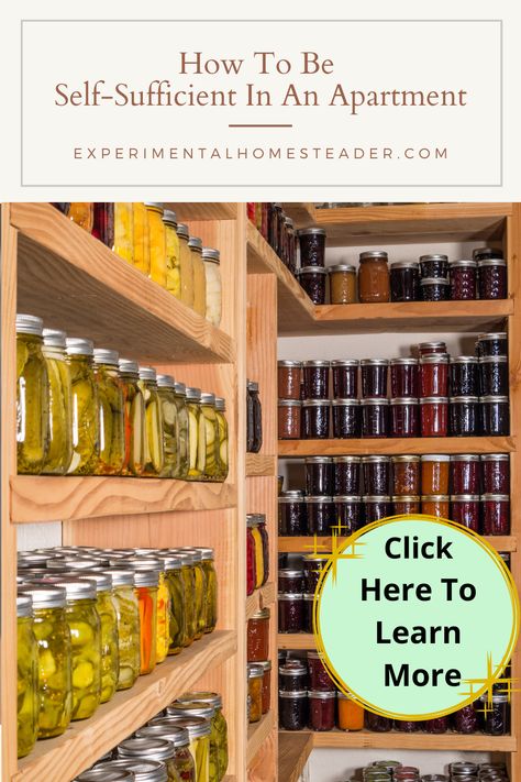 Homesteading In An Apartment, How To Be Self Sufficient, Apartment Homestead, Apartment Homesteading, Self Sufficient Homestead, Learn Skills, Preserving Herbs, Panic Rooms, Hanging Herbs