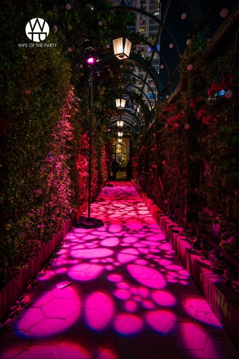 Event Walkway, Dramatic Entrance, Outdoor Party Entrance, Event Entrance Design Entryway, Restaurant Entrance Design Entryway, Outdoor Event Lighting, Event Entrance Arch Design, Event Entrance Arch, Event Entrance Design