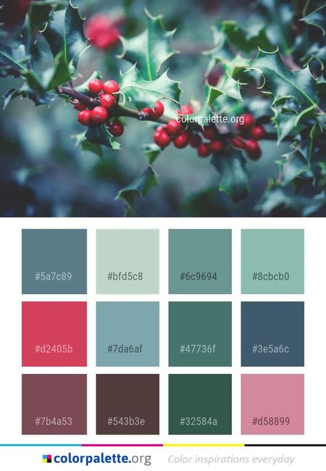 Graphics Design Inspiration, Xmas Color, Christmas Palette, Christmas Color Palette, Colors Inspiration, Interior Colors, Hex Color Palette, Winter Color Palette, Color Pallete