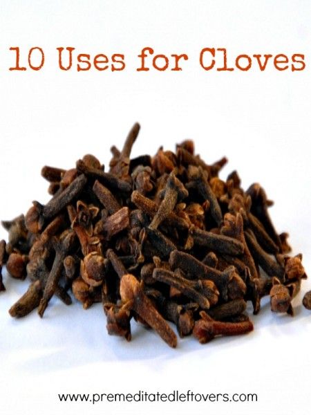 Cloves smell great, but there are also many practical ways that you can use them around the house. Take a look at these 10 Uses for Cloves to get started. Uses For Cloves, Spice Benefits, Benefits Of Cloves, Cloves Health Benefits, Clove Plant, Cloves Recipes, Herbal Knowledge, Dried Cloves, Spice Chart