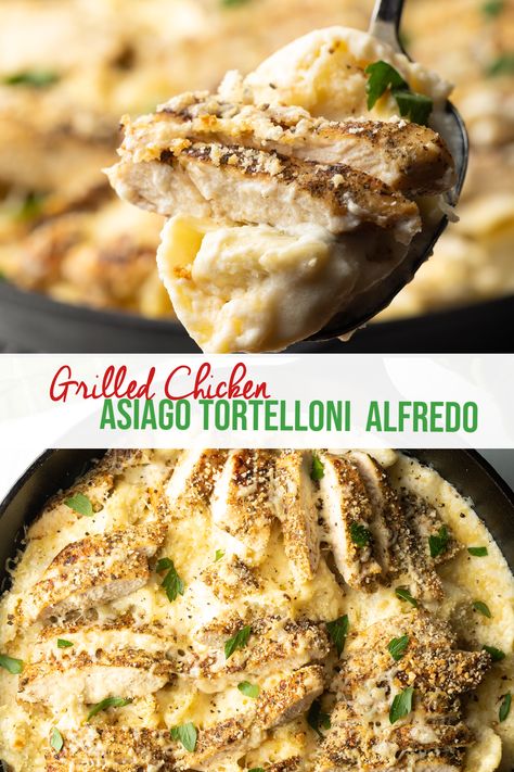 Olive Garden Recipe, Tortellini Alfredo, Copycat Recipes Olive Garden, Copycat Olive Garden, Olive Garden Recipes, Grilled Chicken Tenders, Chicken Tortellini, Tortellini Recipes, Chicken Recipes Video