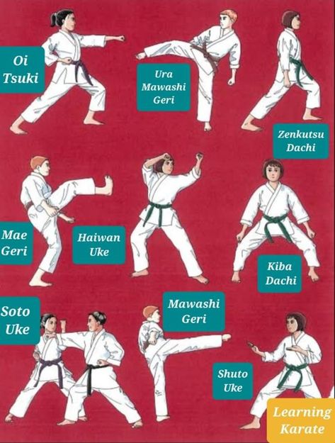 Wado Ryu Karate, Boxing Workout Routine, Goju Ryu Karate, Martial Arts Books, Karate Moves, Martial Arts Forms, Kenpo Karate, Karate Kata, Goju Ryu