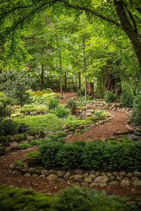 Winding Garden Pathways, Forest Landscaping, Gard Modern, Woods Garden, Wisconsin Garden, Shaded Garden, Wonder Forest, Shady Garden, Country Gardens