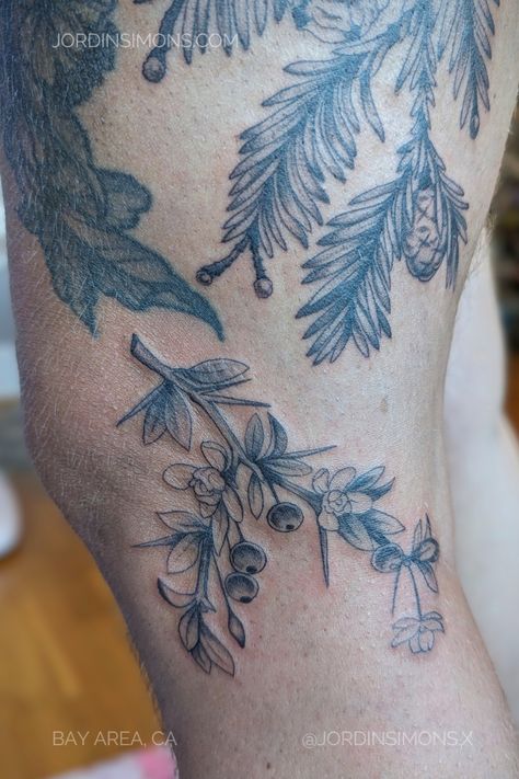 || Done by female tattoo artist Jordin Simons at Morningstar Tattoo Parlor in SF Bay Area, CA. Morningstar Tattoo, Female Tattoo Artist, Tattoo Parlor, Female Tattoo Artists, Botanical Tattoo, Tattoo Parlors, Female Tattoo, Tattoo Designs For Women, Tattoo Placement