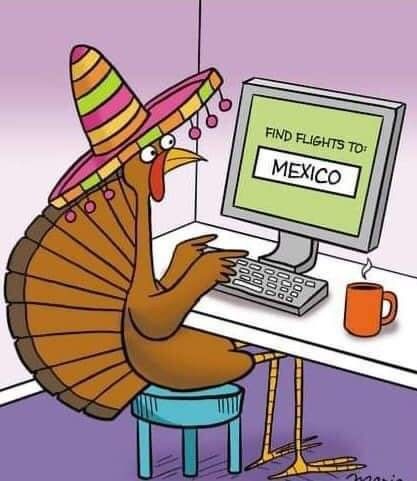 Turkey Funny Pictures, Funny Thanksgiving Cartoons, Thanksgiving Funnies, Funny Turkey Pictures, Thanksgiving Cartoons, November Funny, Turkey Humor, Turkey Jokes, Theraband Exercises