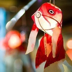 Embroidery Fish, Fish Lanterns, Fish Lamp, Japanese Fish, Japanese Lanterns, How To Make Lanterns, Japanese Embroidery, Kites, Embroidery Craft