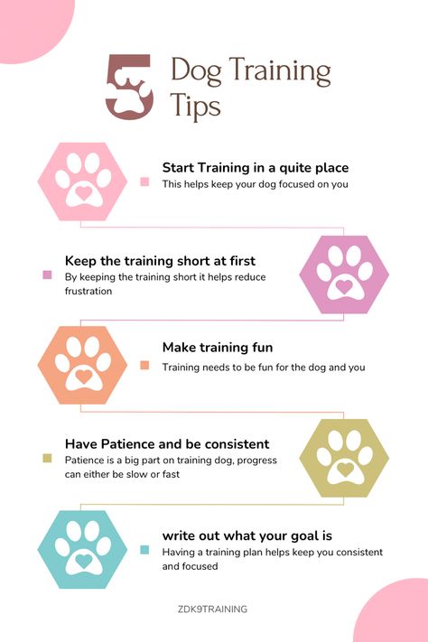 Here are 5 DOG TRAINING TIP for you and you puppers, Training your dog is a essential part in you’re dogs life. By training daily you are fullfilling a part in your dog which can kead to better behavior. Dog training can also strengthen you’re relationship with your dog too. #dogtraining #dogsofinstagram #dogtrainingtips #dogtrainingadvicetips #doglovers #germanshepherd #goldenretriever #puppies #puppytraining #dogtrainingisfun Cesar Millan Puppy Training, Obedience Training For Dogs, Lacrosse Training, Pitbull Training, German Shepherd Puppies Training, Dog Body Language, Service Dog Training, Easiest Dogs To Train, Basic Dog Training