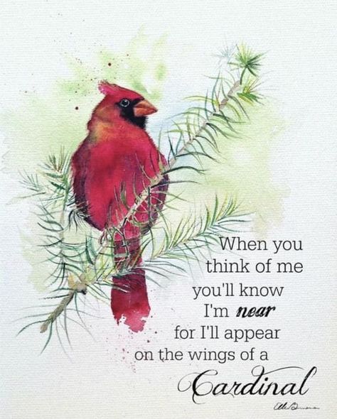 Pin by Michelle Garza Alex on Cardinals | Art prints quotes, Art prints, Tree tattoo Sayings For Tattoos, Cardinal Quotes, Heaven Images, Happy Day Quotes, Animal Totem, Paper Birds, Quotes Art, Cardinal Birds, Animal Totems