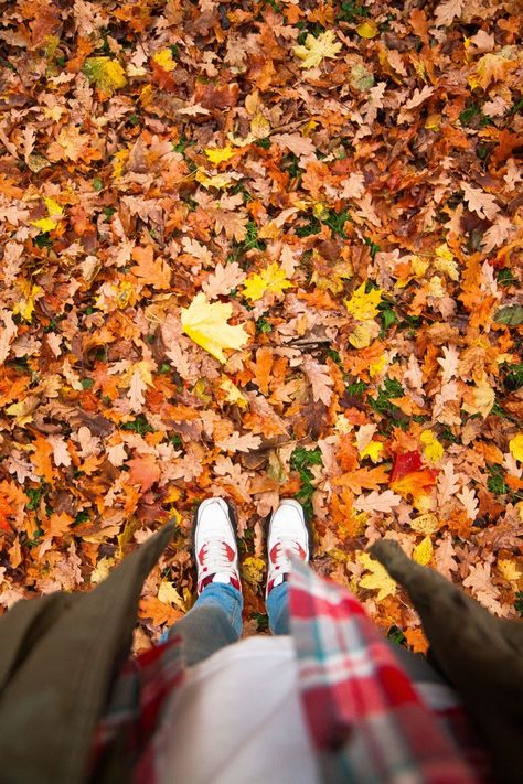 You might think raking leaves is a relatively simple — albeit tedious and annoying — Autumn task, but it turns out there's a way to make raking Raking Leaves, Environmental Health, Autumn Cozy, Cleaning Organizing, Household Hacks, Garden And Yard, Container Gardening, Cleaning Hacks, Inspirational Quotes