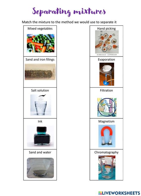 Separation Of Mixtures, Types Of Mixtures, Solutions And Mixtures, Separating Mixtures, Heterogeneous Mixture, Compounds And Mixtures, Homogeneous Mixture, Science Printables, Matching Worksheets