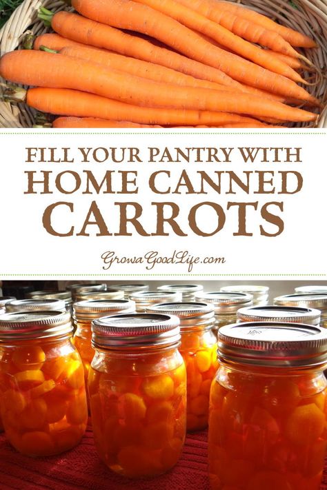 Preserve Carrots, Can Carrots, Canning Carrots, Canned Carrots, Canning Vegetables, Canning Food Preservation, Canning Tips, Water Bath Canning, Hot Pack