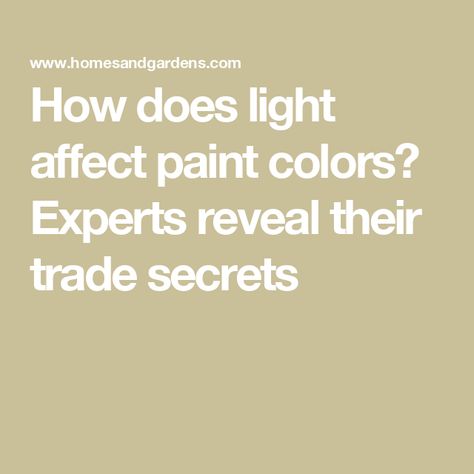 How does light affect paint colors? Experts reveal their trade secrets Cream Paint Colors, Curtain Drawing, Secret House, Colour Consultant, Cream Paint, Benjamin Moore Colors, Color Chip, Paint Brands, Paint Samples