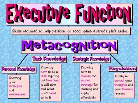 Smart But Scattered, Executive Functions, Brain Based Learning, Eye Movement, Executive Function, Dysgraphia, Executive Functioning Skills, Emdr Therapy, Learning Differences