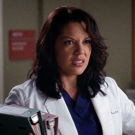 Callie Torres Hair, Callie Greys Anatomy, Callie Torres Icons, Greys Anatomy Callie, Character Alignment, Callie Torres, Sara Ramirez, Grey Quotes, Cristina Yang