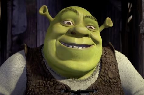 82 Shrek Memes That Will Make You Say "Hallelujah!" Jeff Buckley Hallelujah, Donkey And Dragon, Shrek Character, Fiona Shrek, Shrek Funny, Mr Bean Funny, Shrek Memes, Happy Smiley Face, Green Characters