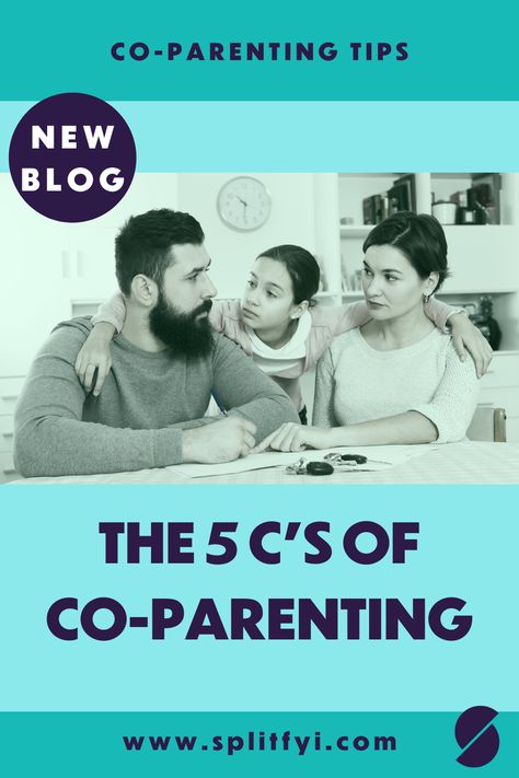 Parenting After Separation, Divorce Tips, Couples Therapy Worksheets, A Separation, Blended Families, Divorce Support, Rules For Kids, Divorce Advice, Parenting Goals