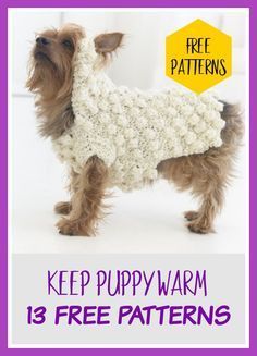 Crocheted Dog Sweaters, Dog Beanie Pattern, Sweaters For Dogs, Crochet Dog Sweater Free Pattern, Crocheted Dog, Large Dog Sweaters, Crochet Dog Clothes, Dog Sweater Crochet Pattern, Crochet Sweater Free