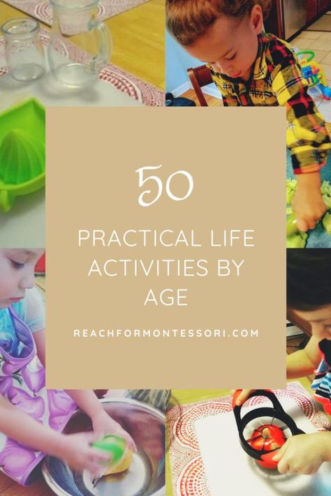 Montessori Practical Life Activities, Activities List, Montessori Kindergarten, Activities For All Ages, Life Activities, Harmony Day, Practical Life Activities, Montessori Lessons, Montessori Practical Life