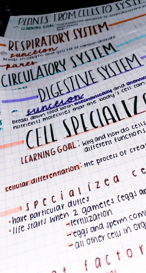 note titles; plant cell systems, respiratory system, circulatory system, digestive system, cell specialization. 
pretty notes Circulatory System Notes, Cell Specialization, Digestive System Notes, Notes Studying, Bio Notes, Biology Plants, College Problems, Biology Revision, School Biology