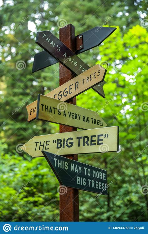 Hiking Trail Signs Diy, Diy Trail Signs, Trail Signs Diy, National Park Signage, Nature Trail Signs, National Park Signs, Directional Signs Design, Cabin Decor Diy, Redwoods National Park