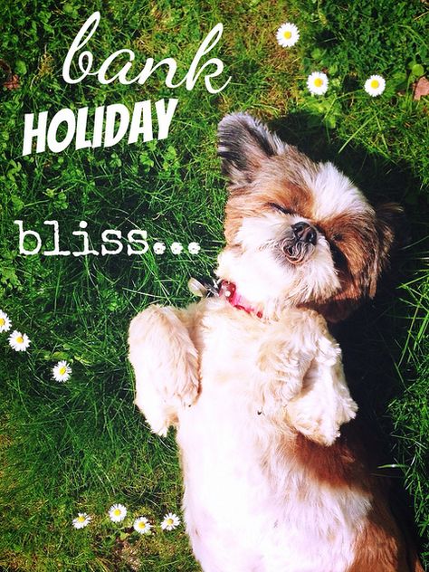 Bank holiday (Labour day) bliss! xx Bank Holiday Weekend Quote, Holiday Funny Quotes, Bank Holiday Quotes, Bank Holiday Monday, Body Shop At Home, Weekend Quotes, Monday Quotes, Holiday Quotes, Enjoy The Sunshine