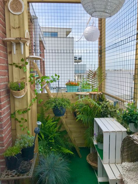 Cat Proof Balcony, Balcony Ideas House, Apartment Balcony Garden, Cat Patio, Cat Hotel, Outdoor Cat Enclosure, Rattan Patio Furniture, Cat House Diy, Pallet House