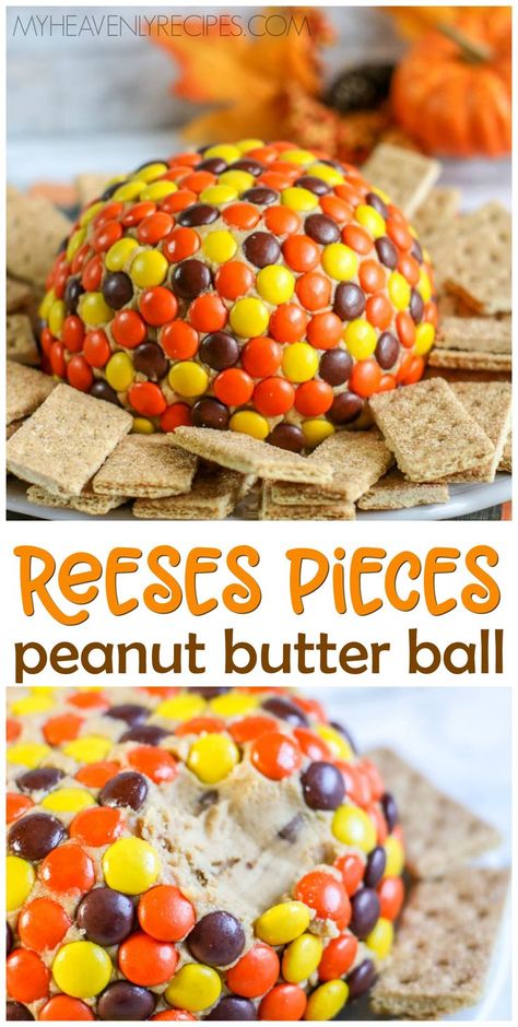 Peanut Butter Ball, Dessert Cheese Ball, Tartiflette Recipe, Pecan Desserts, Peanut Butter Balls Recipe, Reese's Pieces, Sweet Dips, Cheese Ball Recipes, Peanut Butter Balls