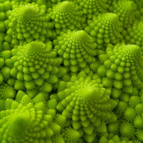 Fractal vegetable. More Natural Spirals. Energy in Form! Gem Corn, Romanesco Broccoli, Fractals In Nature, Spirals In Nature, Macro Photography Tips, Photography Ideas At Home, Geometry In Nature, Fractal Patterns, Garden Tips