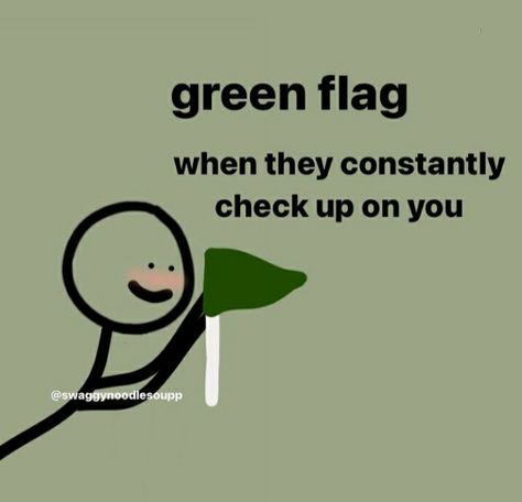 Green Flags In Friendships, Green Flags In Guys, Green Flags In People, Green Flag Quotes, Green Flags, Red And Green Flags In Relationships, Green Flag Meme Funny, Life Partner Quote, Relatable Crush Posts