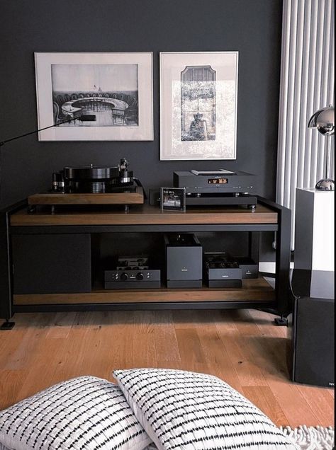 Vinyl Record Furniture, Turntable Furniture, Audiophile Room, Hifi Room, Hifi Furniture, Audio Cabinet, Home Music Rooms, Vinyl Room, Record Room