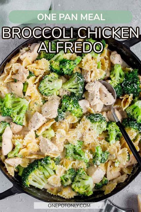 One Pot Only Broccoli Chicken Alfredo Skillet Broccoli, One Pot Chicken Broccoli, Broccoli Chicken Alfredo, Chicken Broccoli Alfredo Pasta, Chicken Broccoli Pasta Recipes, Broccoli Alfredo Pasta, Broccoli Pasta Recipe, Chicken Broccoli Pasta, Chicken Broccoli Alfredo