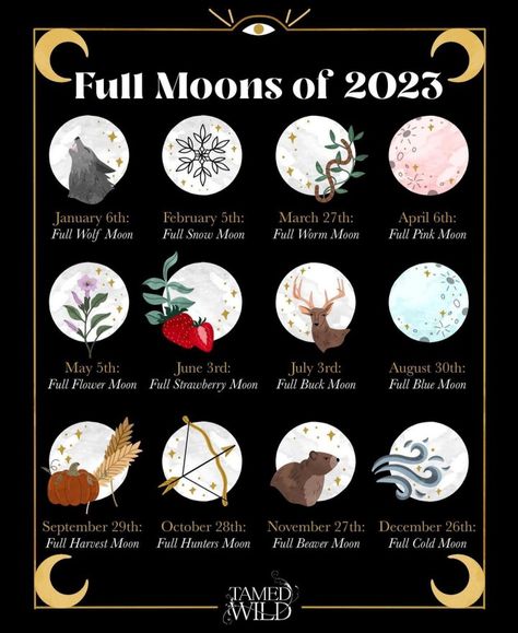 New Moon Dates 2023, New Moons 2023, Special Moons 2023, Important Witchy Dates 2023, Cool Moons Coming In 2023, Full Moon Calander 2023, Moon Types, Full Moon Dates, Full Moons Of 2023