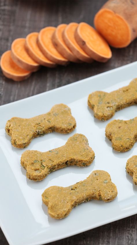 Sweet Potato Dog Biscuit Recipe - Homemade Bone Recipes, Sweet Potato Dog, Pet Recipes, Sweet Potato Dog Treats, Potato Dog, Pet Snacks, Dog Texts, Rosanna Pansino, Doggy Treats